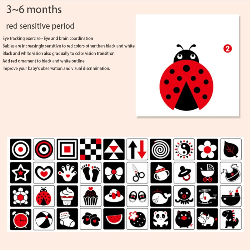 Tarjetas Montessori para estimulación visual del bebé según su edad –  Tiendita León